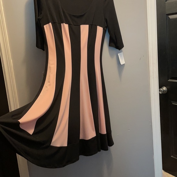 Black and Blush Midi Dress - Picture 4 of 4